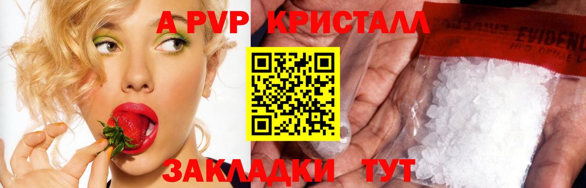 дарнет шоп  A PVP СК  Alfa_PVP  Вход с VPN  Гулькевичи 
