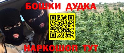 mdpv Ярославль