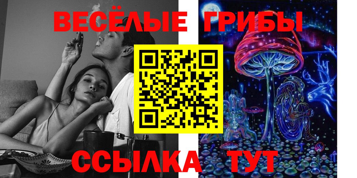 Галлюциногенные грибы Magic Shrooms Гулькевичи